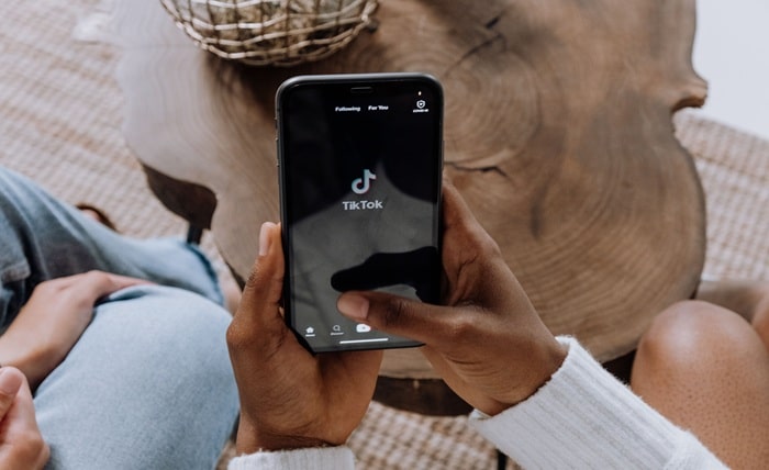 TikTok Downloader T